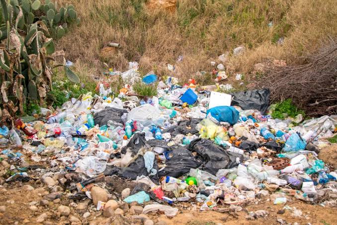 Ecocidio, delitos medioambientales
